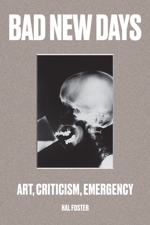 Cover image for book Bad New Days