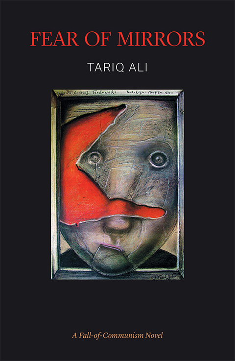 Cover image for book Fear of Mirrors