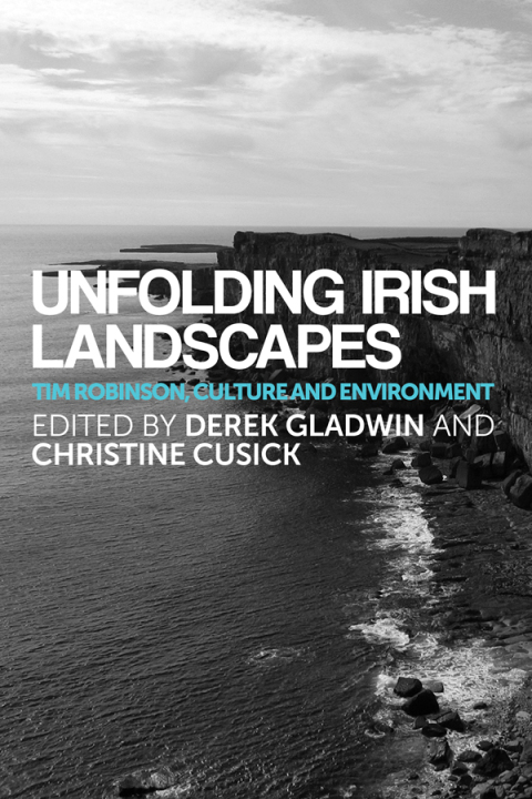 Cover image for book Unfolding Irish landscapes