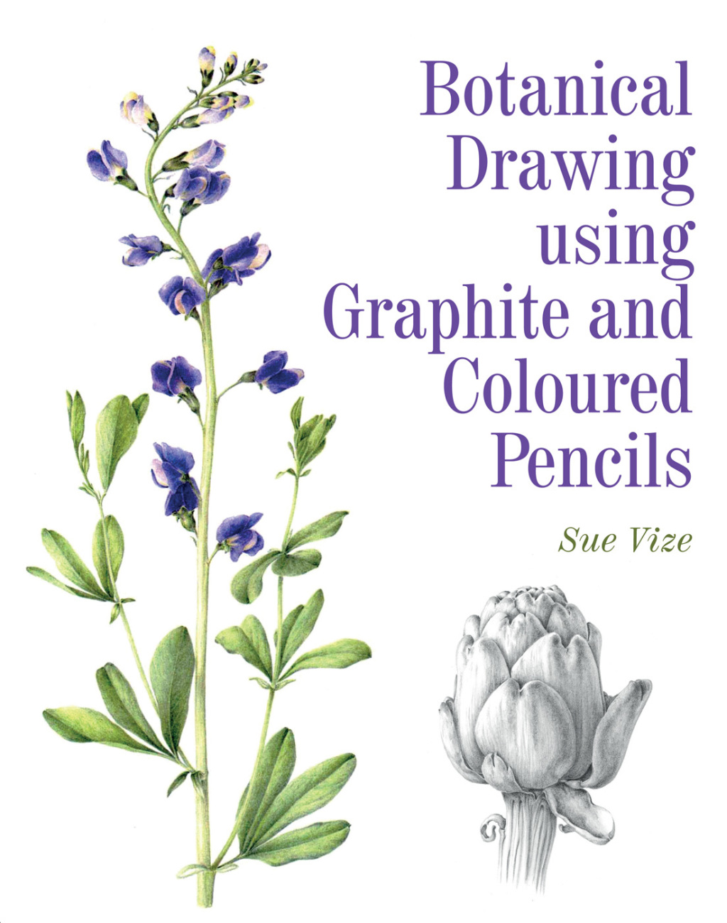 Reflowable Botanical Drawing using Graphite and Coloured Pencils