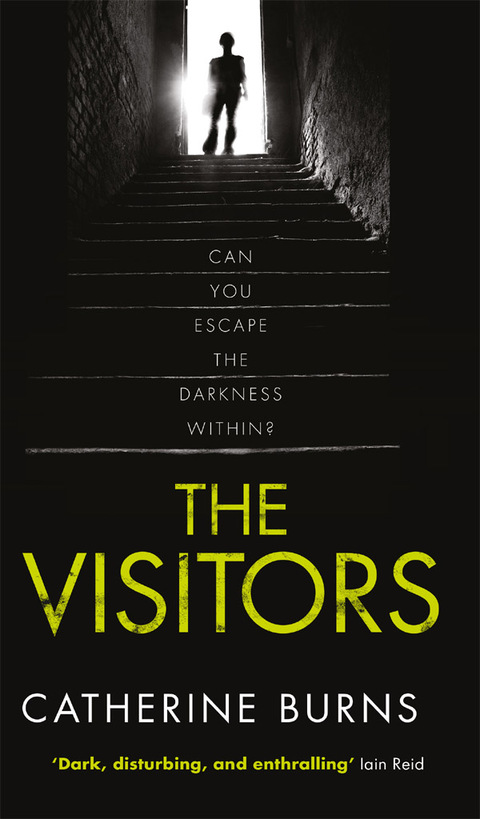Cover image for book The Visitors