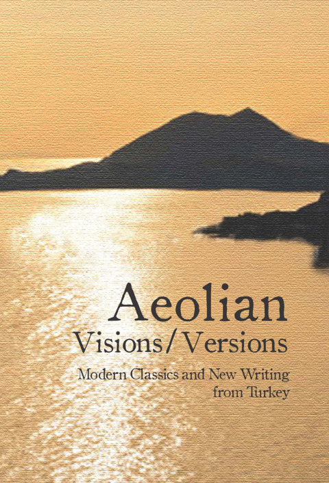 Cover image for book Aeolian Visions / Versions