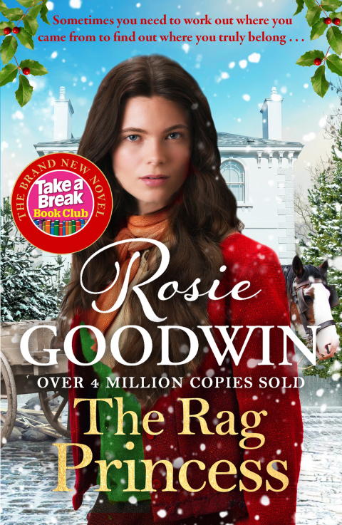 Cover image for book The Rag Princess