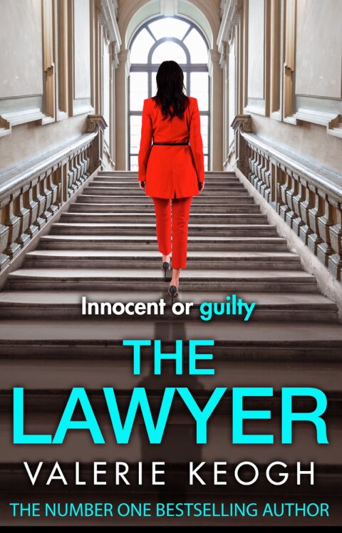 Cover image for book The Lawyer