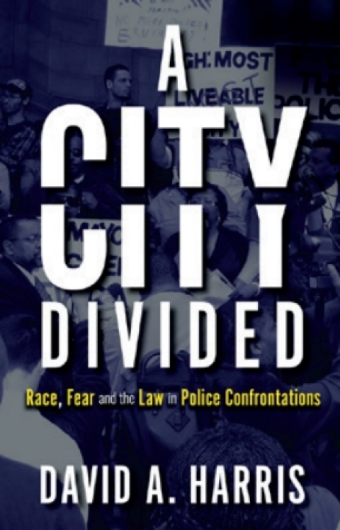Cover image for book A City Divided: Race, Fear and the Law in Police Confrontations