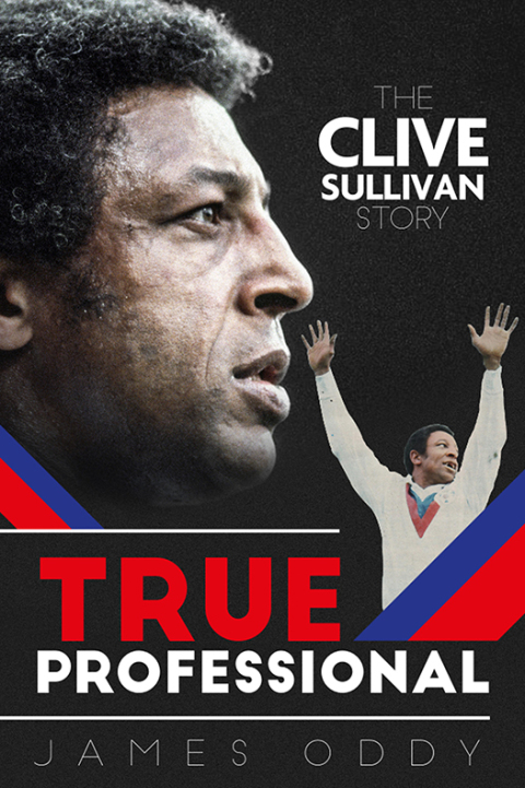 Cover image for book True Professional