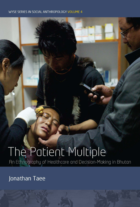 Cover image for book The Patient Multiple