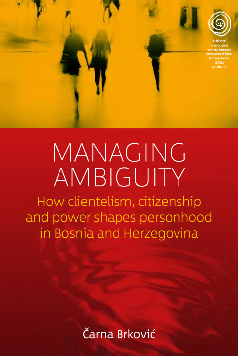 Cover image for book Managing Ambiguity