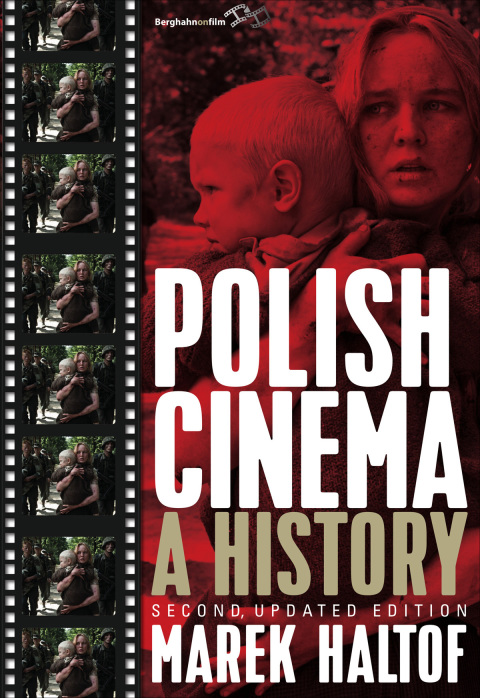 Cover image for book Polish Cinema