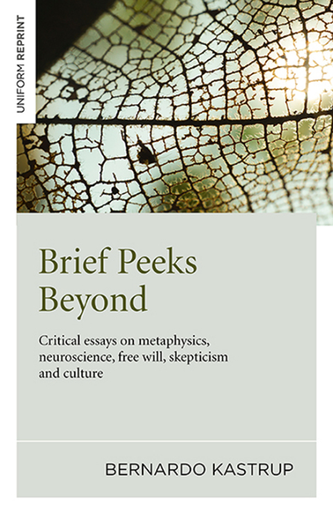 Cover image for book Brief Peeks Beyond