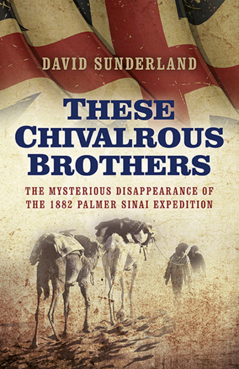 Cover image for book These Chivalrous Brothers