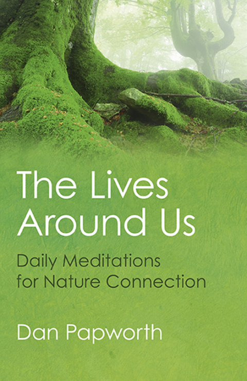 Cover image for book The Lives Around Us