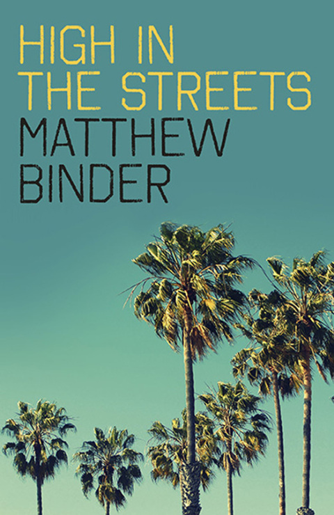 Cover image for book High in the Streets