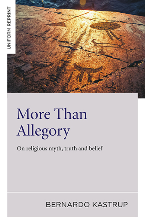 Cover image for book More Than Allegory