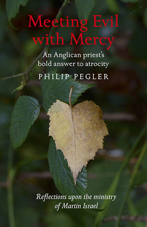 Cover image for book Meeting Evil With Mercy