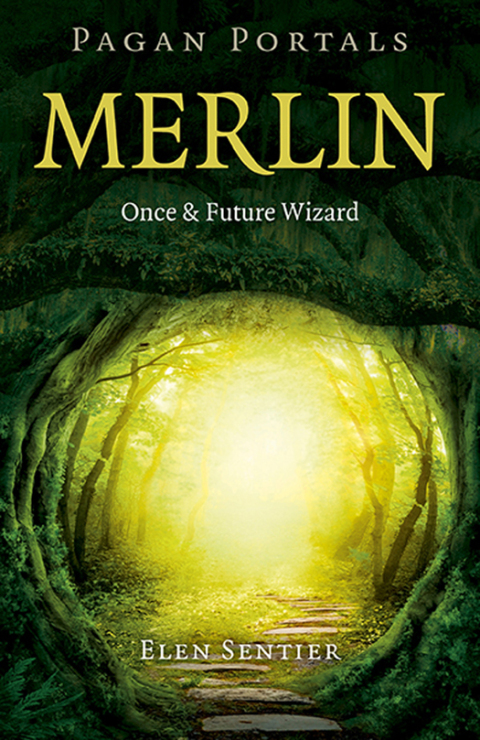 Cover image for book Pagan Portals - Merlin