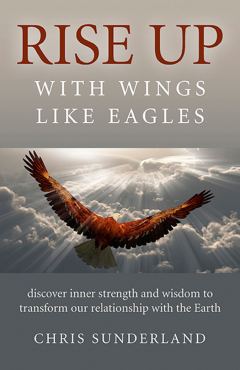 Cover image for book Rise Up - with Wings Like Eagles