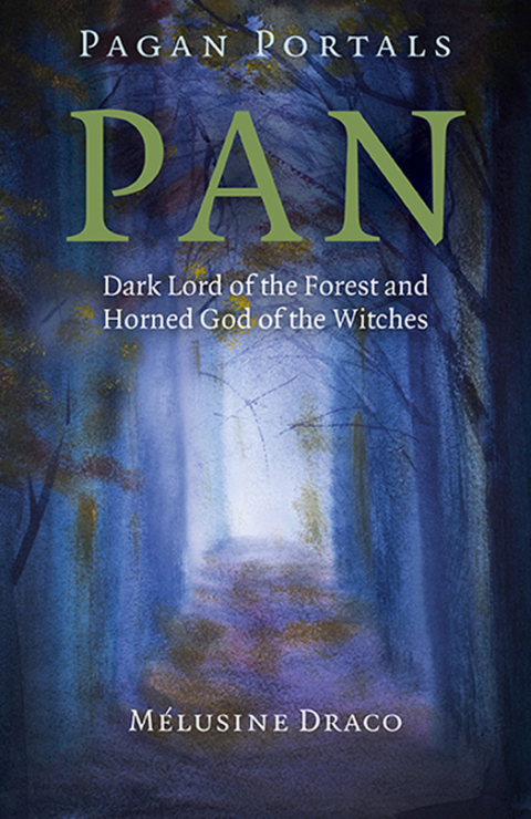 Cover image for book Pagan Portals - Pan