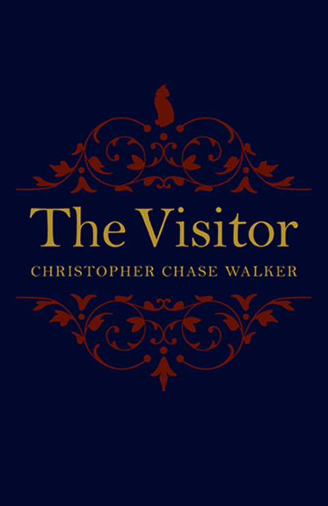 Cover image for book The Visitor