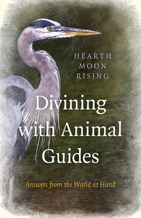 Cover image for book Divining with Animal Guides
