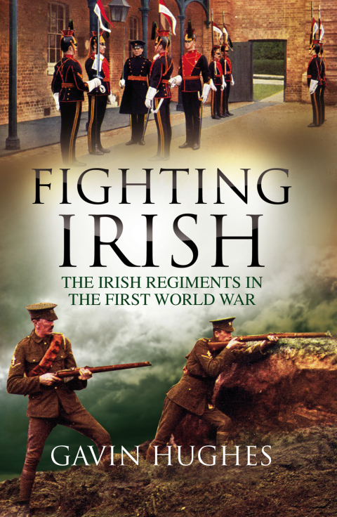 Cover image for book Fighting Irish