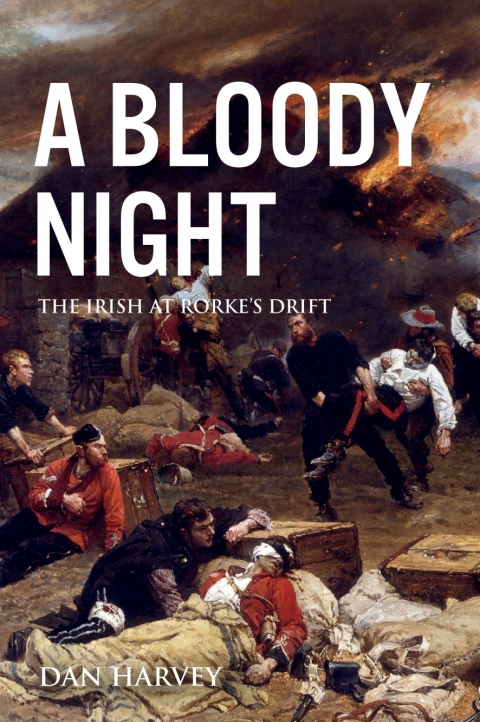 Cover image for book A Bloody Night