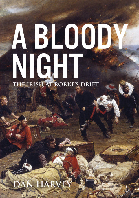 Cover image for book A Bloody Night