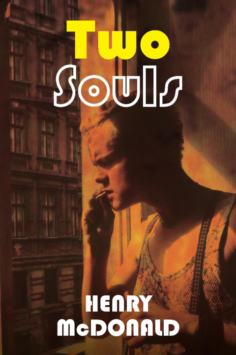 Cover image for book Two Souls