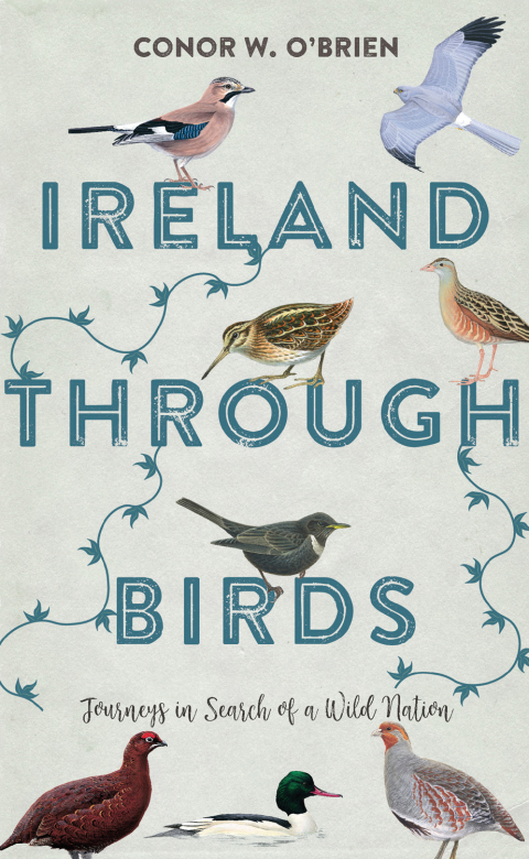 Cover image for book Ireland Through Birds