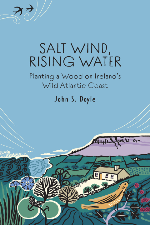 Cover image for book Salt Wind, Rising Water
