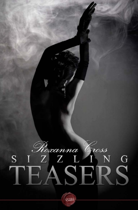 Cover image for book Sizzling Teasers