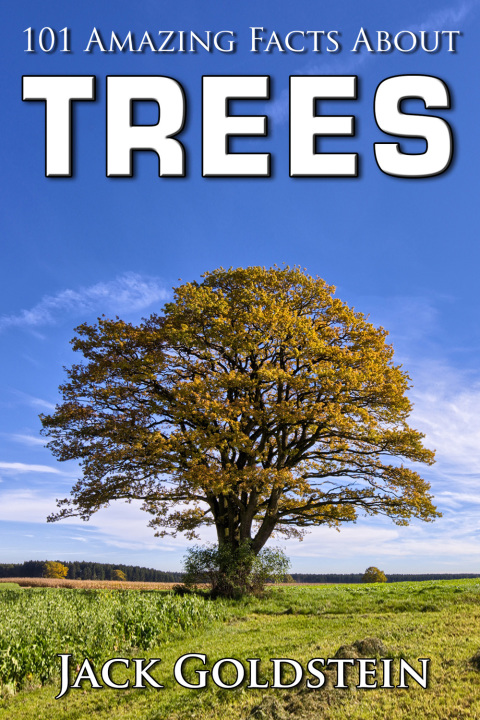 Cover image for book 101 Amazing Facts about Trees