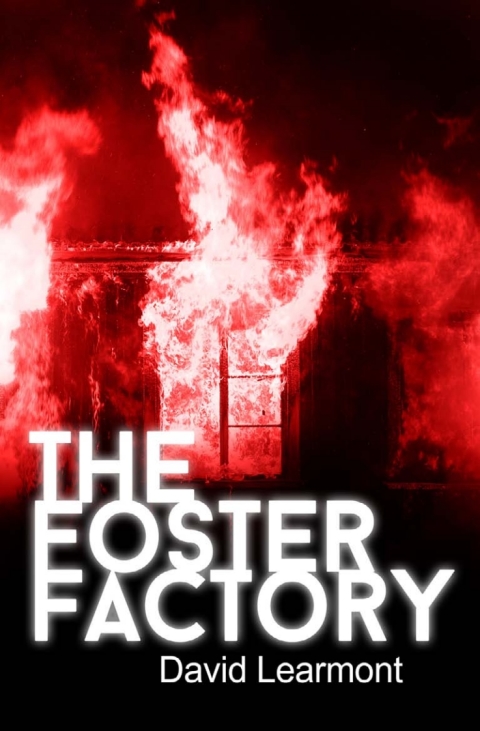 Cover image for book The Foster Factory