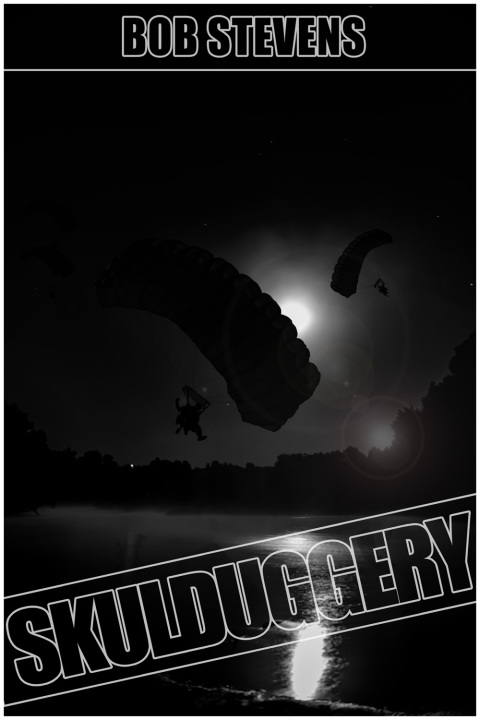 Cover image for book Skulduggery