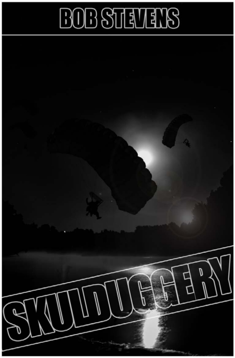 Cover image for book Skulduggery