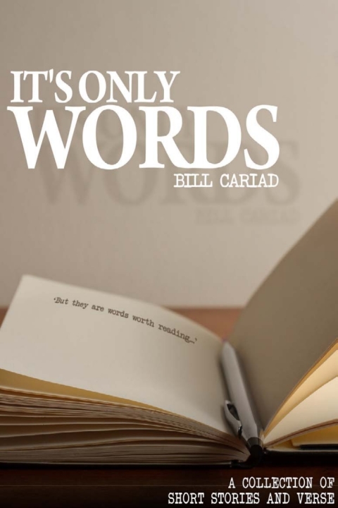 Cover image for book It's Only Words