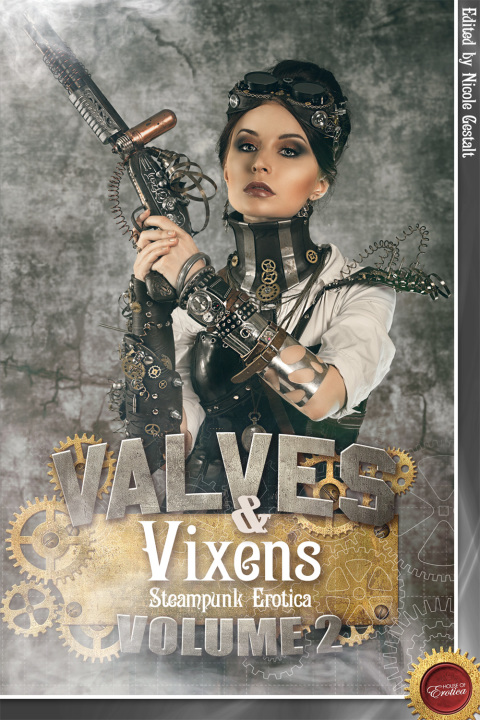 Cover image for book Valves & Vixens Volume 2