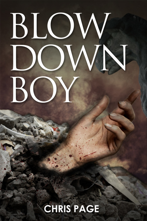 Cover image for book Blow Down Boy
