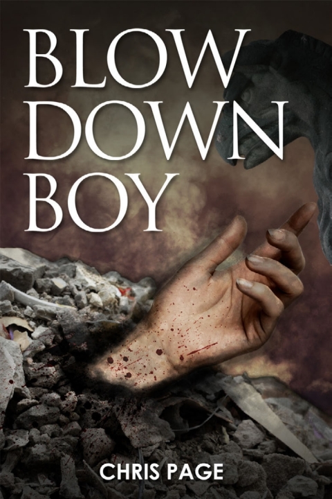 Cover image for book Blow Down Boy