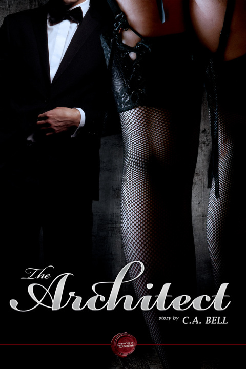 Cover image for book The Architect