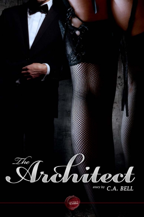 Cover image for book The Architect