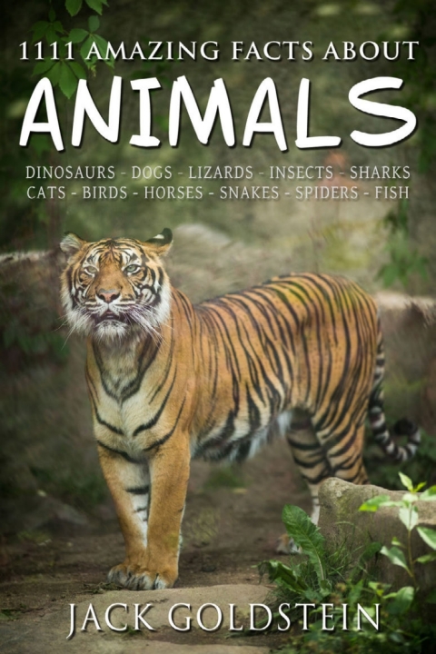 Cover image for book 1111 Amazing Facts about Animals
