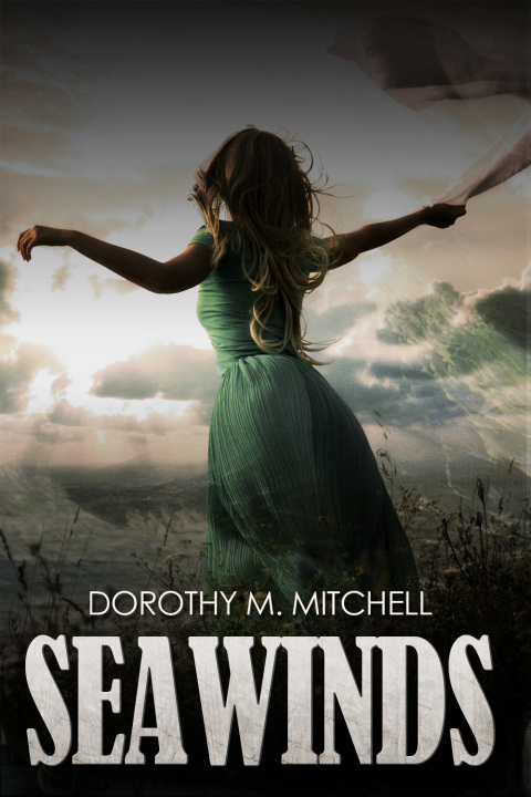 Cover image for book Seawinds