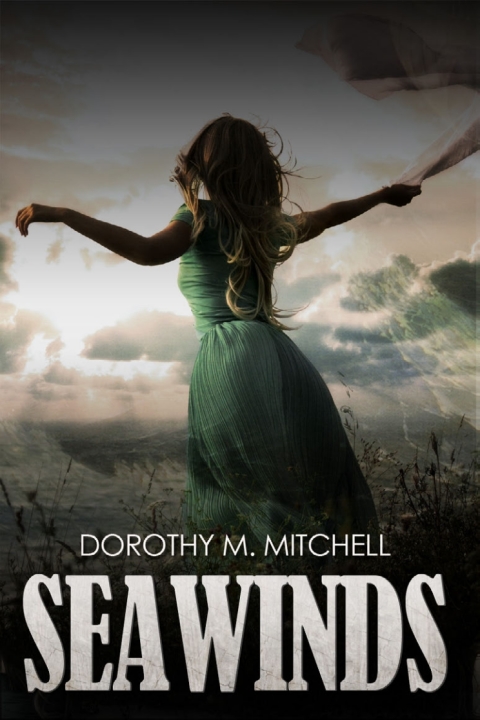 Cover image for book Seawinds