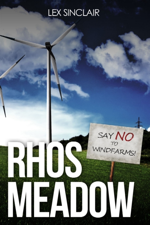 Cover image for book Rhos Meadow