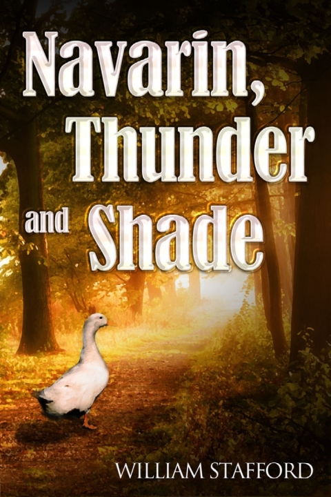 Cover image for book Navarin, Thunder and Shade
