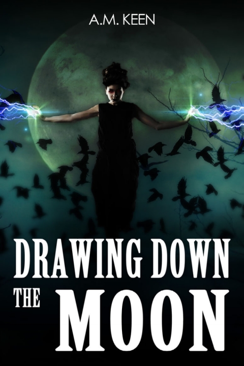 Cover image for book Drawing Down The Moon