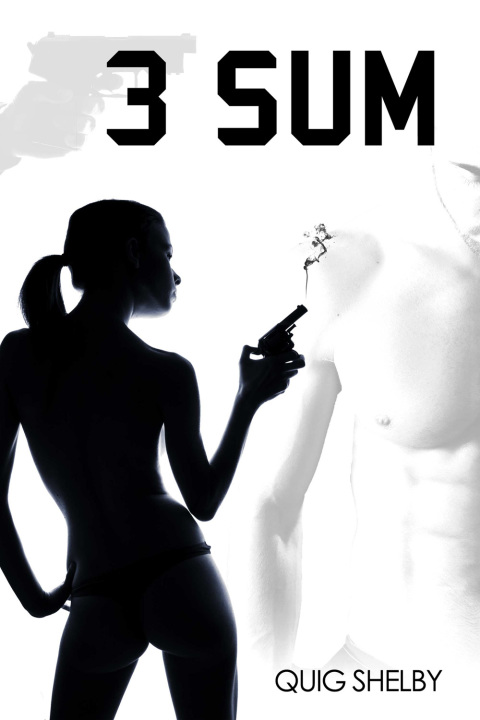 Cover image for book 3 SUM