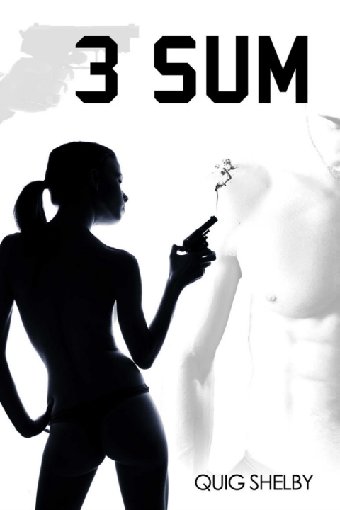 Cover image for book 3 SUM