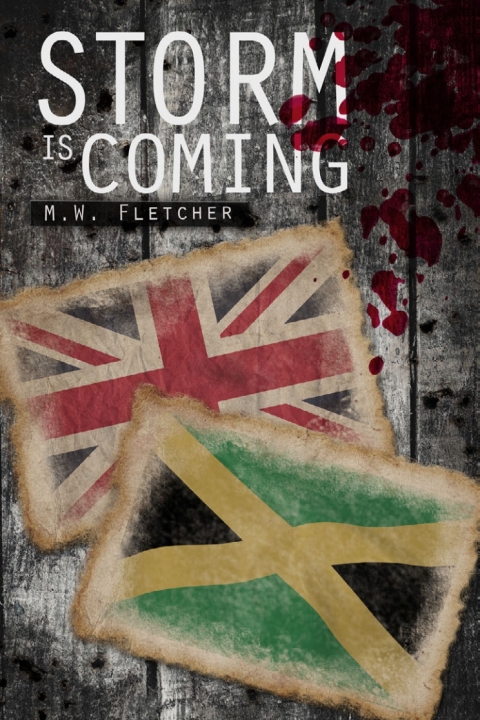 Cover image for book Storm is Coming